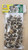 Organic Natural Jamaican Moringa Seeds Grown in Jamaica