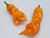 Erotico Orange Pepper 10Plus Seeds