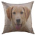 Mugod Pillow Cover Brown Lab Yellow Labrador Puppy Portrait Dog Eyes Home Decorative Throw Pillow Cushion Cover 16x16 Inch Pillowcase