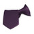 TieMart Boys' Royal Plum Solid Color Clip-On Tie- 11inch Length