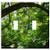 Switch Plate Double Toggle - Tree Jungle Green Branches Branch Leaf Back Light