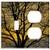 2-Gang- Toggle Outlet Combination Wall Plate Cover - Tree Branch Sky Sunset