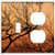 2-Gang- Toggle Outlet Combination Wall Plate Cover - Tree Winter Branch Nature Forest Sky Scenic Red