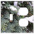 2-Gang- Toggle Outlet Combination Wall Plate Cover - Winter Snow Tree Conifer Snowy Branch Nature