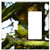 Toggle Rocker/GFCI Combination Wall Plate Cover - Great Tit Bird Nature Tree Air Branch Summer