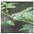 Double Blank Wall Plate Cover - Water Drops Plant Rainy Day Branch Raindrop