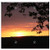 Double Blank Wall Plate Cover - Sunset Tree Branch In The Sunset Dusk Sky Color