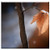 Double Blank Wall Plate Cover - Branch Leaf Leaves True Leaves Brown Winter Snow