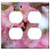 Double Duplex Outlet Wall Plate Cover - Flower Cherry Wood Plant Nature Branch Leaf