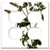 Double Duplex Outlet Wall Plate Cover - Branch Floral Flower Herbaceous Herbal Medicinal