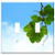 Switch Plate Double Toggle - Leaves Twig Branch Sky Blue Cloud Green Harmony