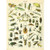 Meishe Art Vintage Poster Print Insects Identification Reference Chart Species Collection Entomology Diagram Classroom Club Wall Decor