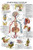 Laminated Endocrine System Anatomical Chart - Endocrine Anatomy Poster - Double Sided - -18inch x 27inch-
