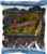 Trader Joe's Organic Turkish Apricots