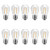 Dr.BeTree 10 Pack S14 LED Replacement Bulbs for String Lights- 2 Watts Warm White Edison Light Bulbs E26 Candelabra Screw Base Clear Plastic Bulbs for Grade Outdoor Patio Garden