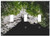Switch Plate Triple Toggle - Tree Branch Trunk Bark Sky Foliage Summer Spring