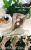 May Flowers -Reprint- Cross Stitch Chart