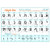 Hebrew Alphabet -Print  and  Cursive- Laminated Study Sheet Plus Diacritics -A3 11.7x16.5in- Aleph Bet- Alef Bet Chart with vowels- cursive- transliteration- numeric value- Aleph Bet Guide