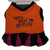 Cheerleader Dog Costume Orange Rah Rah Ruff Pet T-Shirt Cheer Dress Medium