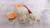 Nature Bare Orange Body Scrub - Sea Salt Body Scrub for Soft Skin - Body Scrubs All Natural - All Natural Body Scrub -Vegan Body Scrub - Vegan Body Care - Salt Scrub 8 oz