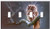 Switch Plate 4 Gang Toggle - Owl Bird Predator Branch Nature Winter