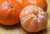 11 Seeds of Orange Satsuma -Mandarin/Tangerine- Seeds