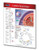 Cellular Respiration Guide - Biology Quick Reference Guide by Permacharts