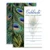 Amanda Creation Peacock Feathers Fill in Party Invitations, Set of 20 Including envelopes