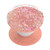 PopSockets- PopGrip with Swappable Top for Phones and Tablets - Tidepool Peachy Pink
