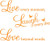 Blinggo 15'' X 22'' Orange Vinyl Decal Live Every Moment- Laugh Every Day- Love Beyond Words Wall Quote