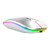 Gaweb 2.4G Wireless Bluetooth LED Mice USB Ergonomic Gaming Mouse for Laptop Computer - Silver Bluetooth Dual-Mode Lighting