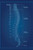 Human Spine Blueprint Educational Chart Laminated Dry Erase Sign Poster 24x36