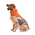 SILD Pet Dog Jacket Outdoor Indoor Activities Waterproof Windproof Reflective Dog Cold Weather Winter Coat Dog Vest Autumn Pet Apparel for Small Medium Large Dog -L- Orange-
