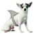 Rasta Imposta Shark Fin Dog Costume- X-Small/Small