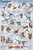 `-24x36- Laminated Pterosaurs Pterodactyls Educational Science Chart Poster