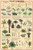 `-24x36- Laminated Plant Kingdom Educational Science Chart Poster
