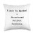 Agile  and  Kanban Project Managers Official Structure Agile Controls Project Management Funny PM Coach Throw Pillow- 18x18- Multicolor