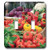 3dRose lsp_209403_2 Baskets carrying fruit and vegetables- South Africa Double Toggle Switch