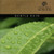 Gentle Rain -Natural Wonders Series-
