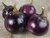 ?100pcs Seeds? 1 Bag of 100 Seeds Thai Round Purple Eggplant Seeds - Very Tasty