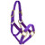 Intrepid International Nylon Miniature Horse Halter- Purple- Large