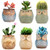 Betrome Owl Pot 2.5 Inch, Ceramic Flowing Glaze Succulent Pots, Owl Planter, Mini Ceramic Pots, Bonsai Owl Pot with a Hole for Small Flower, Plant & Cactus, 6 Pcs