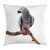 Ambesonne Grey Throw Pillow Cushion Cover- Parrot Bird Psittacus Erithacus Standing on a Branch Tropical Nature Wildlife- Decorative Square Accent Pillow Case- 16inch X 16inch- White Grey