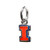 Stone Armory Illinois Charm | UIUC Fighting Illini Pendant Charm | Officially Licensed University of Illinois Jewelry