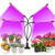 Brizled Plant Grow Lights- 72 LED Plant Lights- Grow Light 3 Switch Modes- 9 Dimmable Level- 4/8/12H Timer- Grow Light for Indoor Plants with Adjustable Gooseneck Remote Control- Red/Blue Spectrum