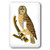 3dRose lsp_44888_1 Barn Owl On Branch Toggle Switch