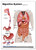 Digestive System Chart with Colon- Swallowing- Stomach- Appendix-