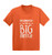 Haase Unlimited Promoted to Big Sister - New Sis Infant/Toddler Cotton Jersey T-Shirt -Orange- 4T-
