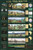 Feenixx Laminated Human Evolution Educational Chart Poster 24x36