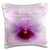 3dRose A Rich Deep Purple Orchid Flower Pillow Case 16 x 16inch